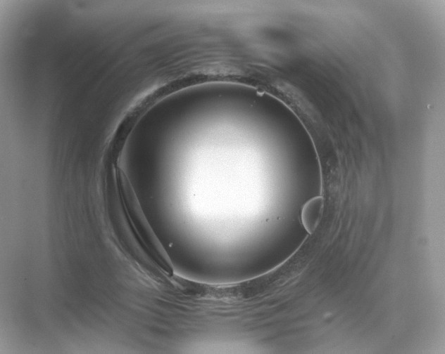 X0000071810727200607072116