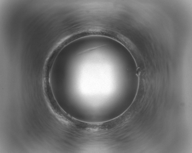 X0000071810728200607072117