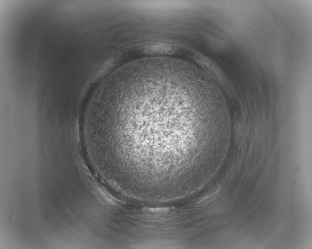 X0000071810729200607072117