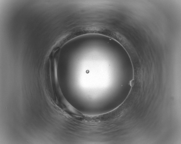 X0000071810731200607072117