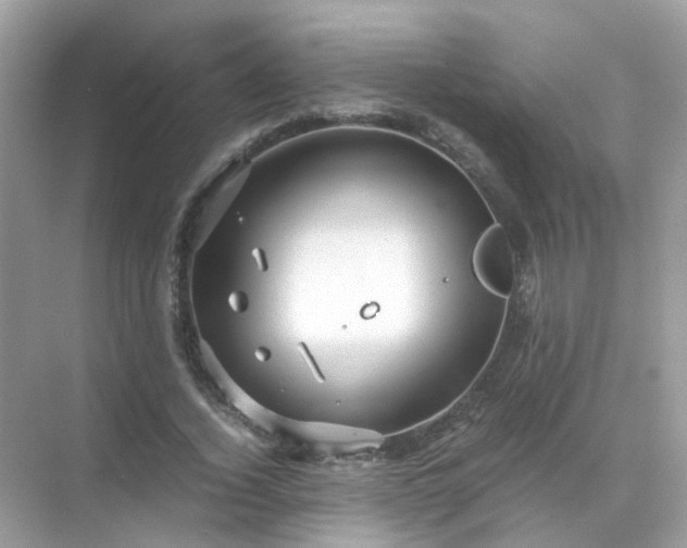 X0000071810732200607072117