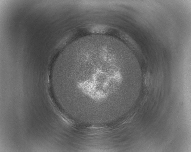 X0000071810733200607072117