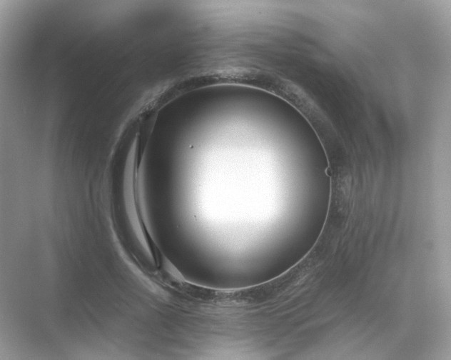 X0000071810734200607072117