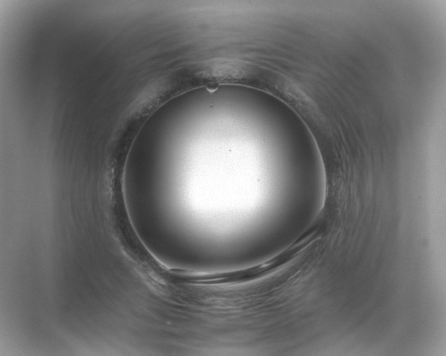 X0000071810735200607072117