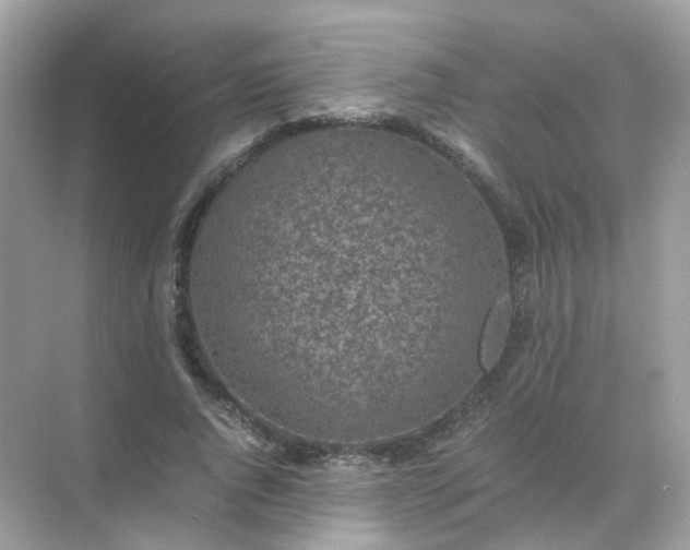 X0000071810736200607072117