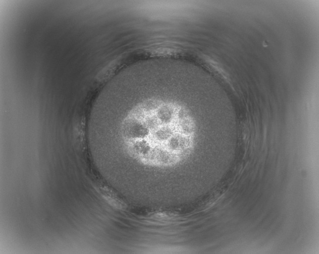 X0000071810737200607072117