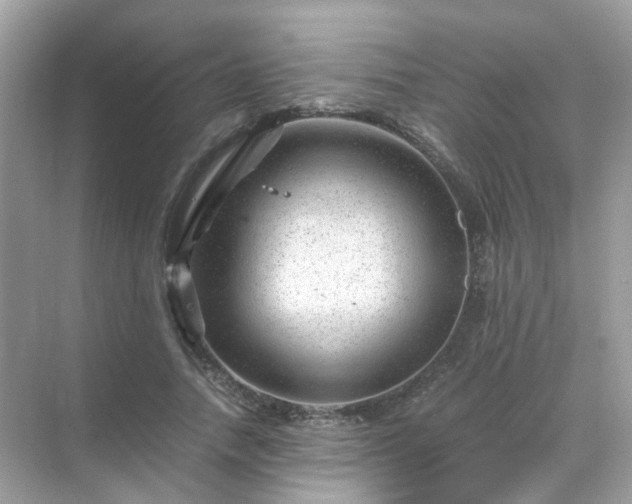 X0000071810738200607072117