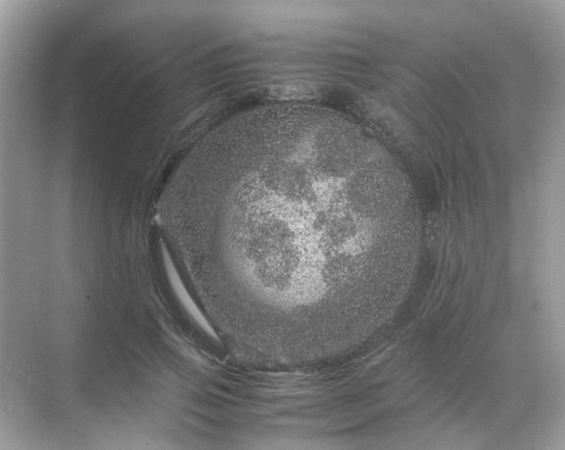 X0000071810741200607072117