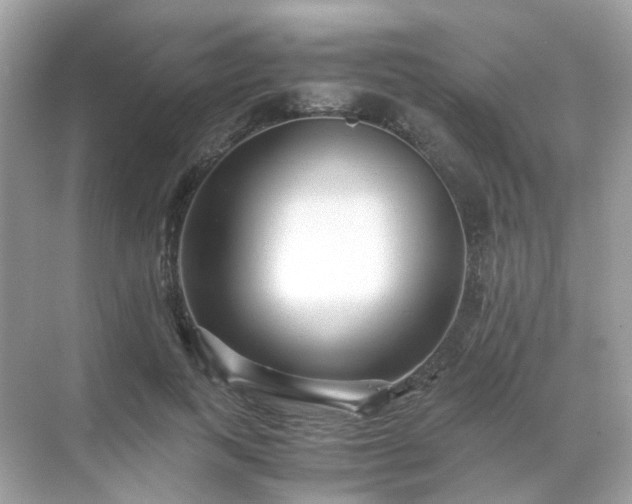 X0000071810743200607072117