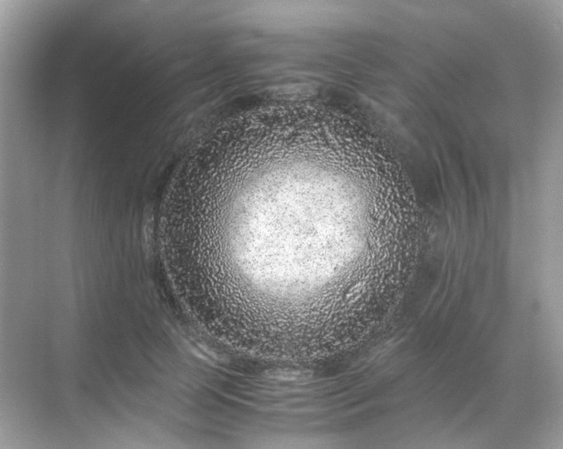 X0000071810745200607072117