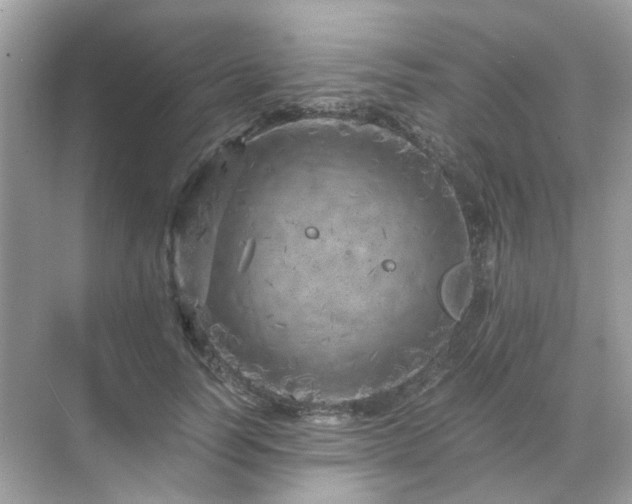 X0000071810746200607072117