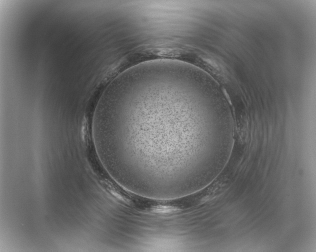 X0000071810748200607072117