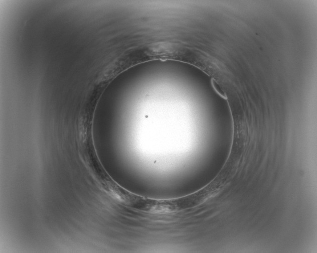 X0000071810751200607072117