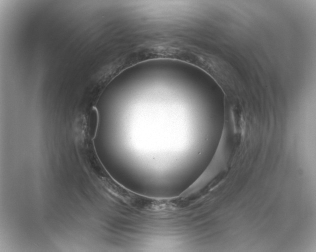 X0000071810752200607072117