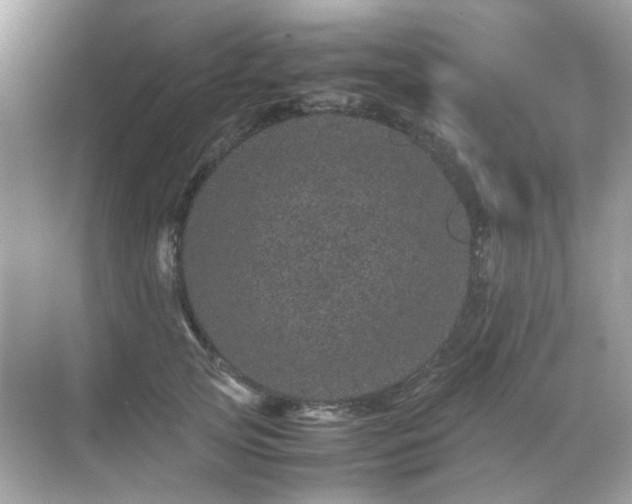 X0000071810753200607072117