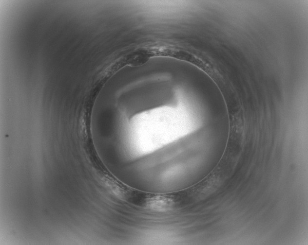 X0000071810754200607072117