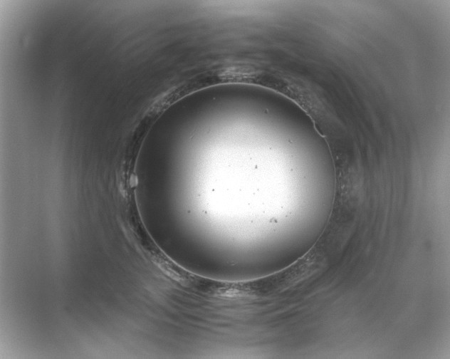 X0000071810755200607072117