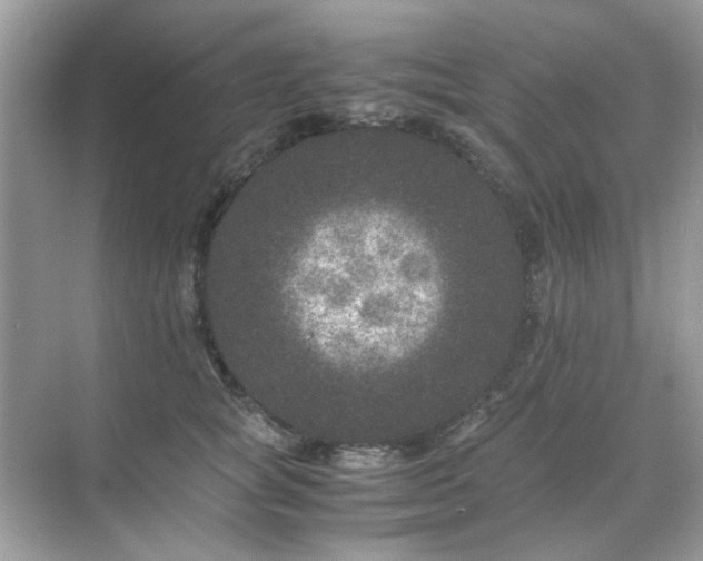 X0000071810757200607072117