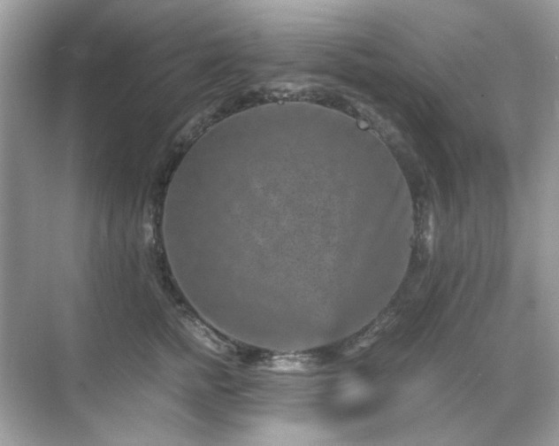 X0000071810758200607072117