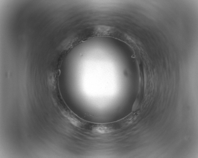 X0000071810759200607072117