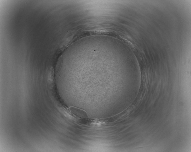 X0000071810760200607072117