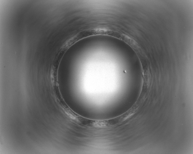 X0000071810762200607072117