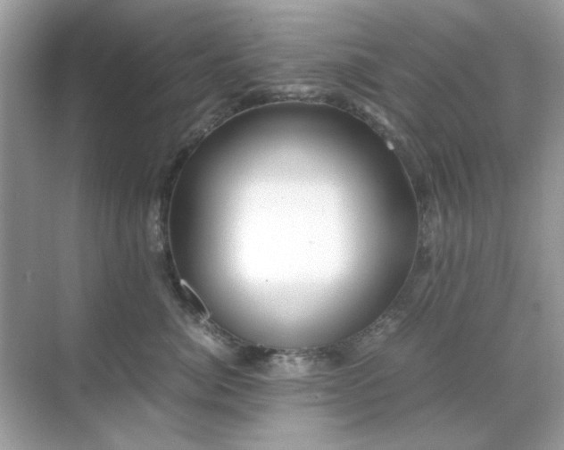 X0000071810764200607072117