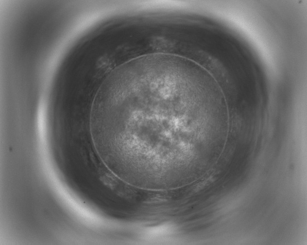 X0000071810765200607072117