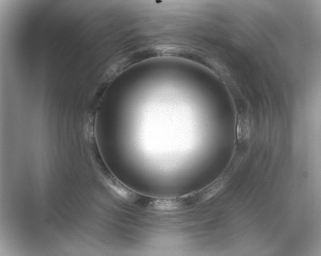 X0000071810766200607072117