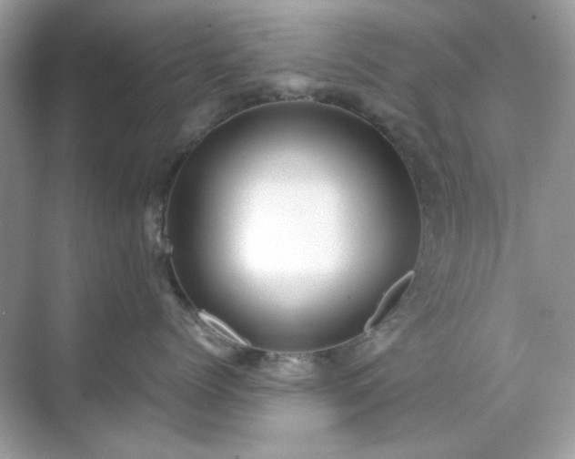 X0000071810768200607072117