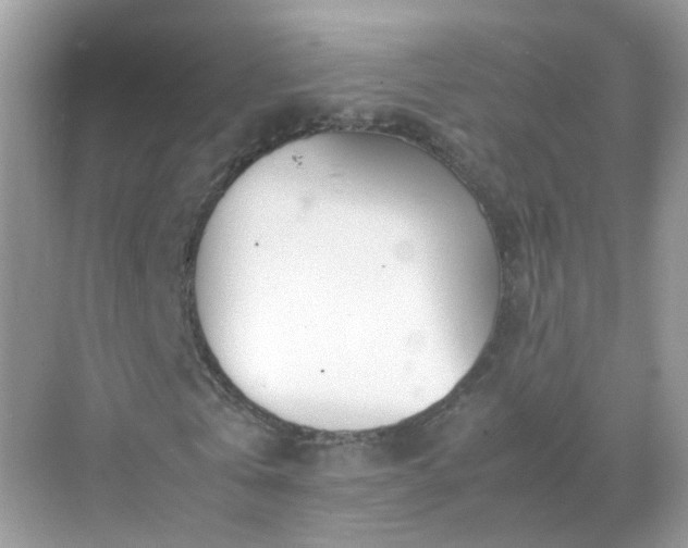 X0000071810769200607072116