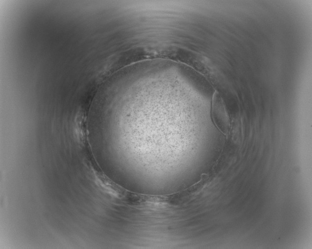 X0000071810770200607072116