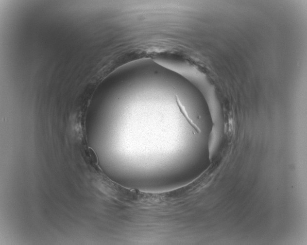 X0000071810771200607072116