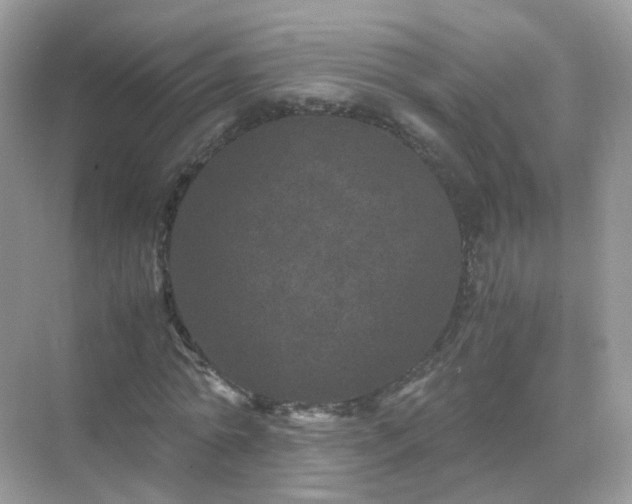 X0000071810774200607072116