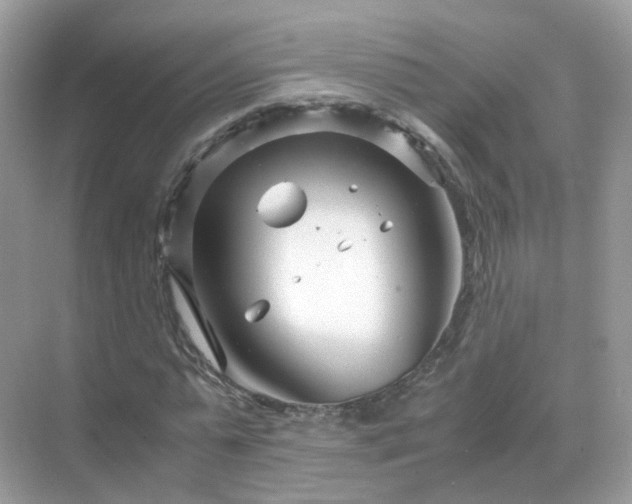 X0000071810775200607072116