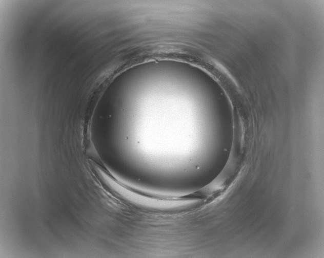 X0000071810777200607072116