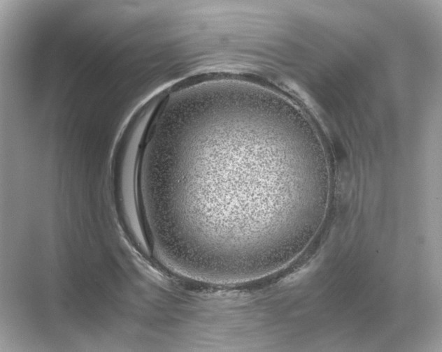 X0000071810779200607072116