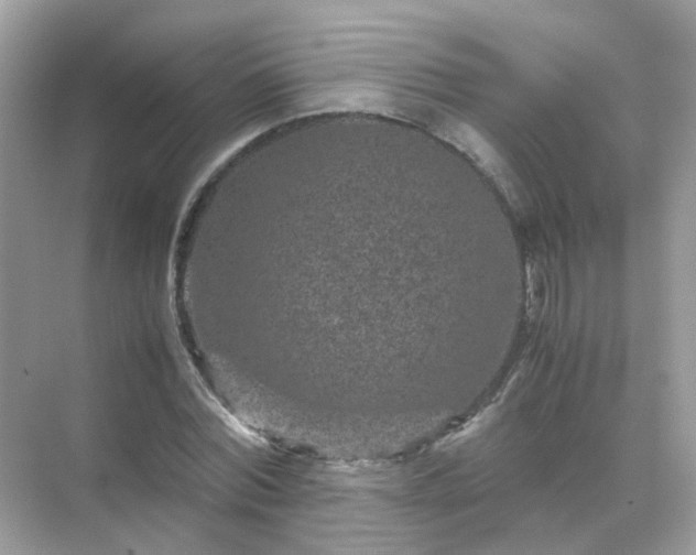 X0000071810780200607072116