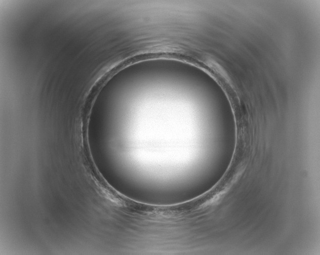 X0000071810781200607072116