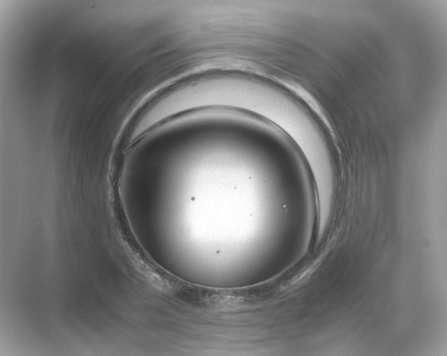 X0000071810783200607072116