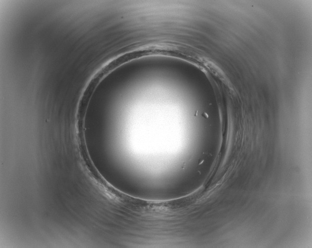 X0000071810784200607072116