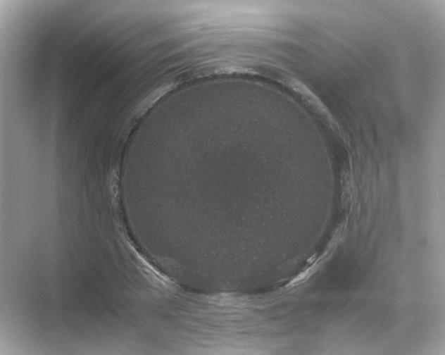 X0000071810785200607072116