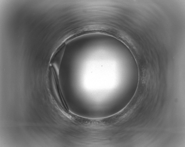 X0000071810786200607072116