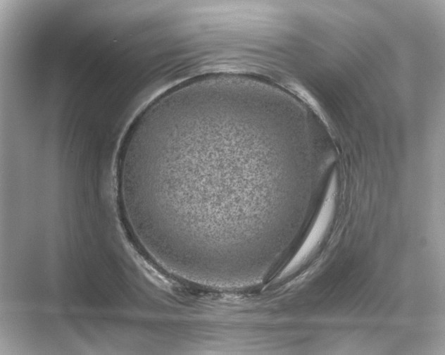 X0000071810787200607072116