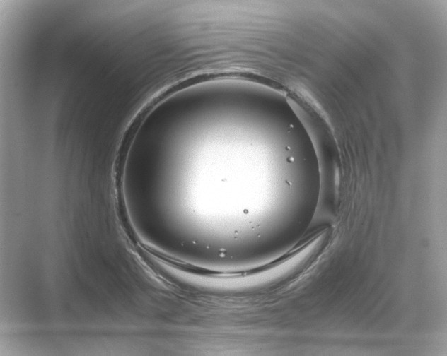 X0000071810789200607072116