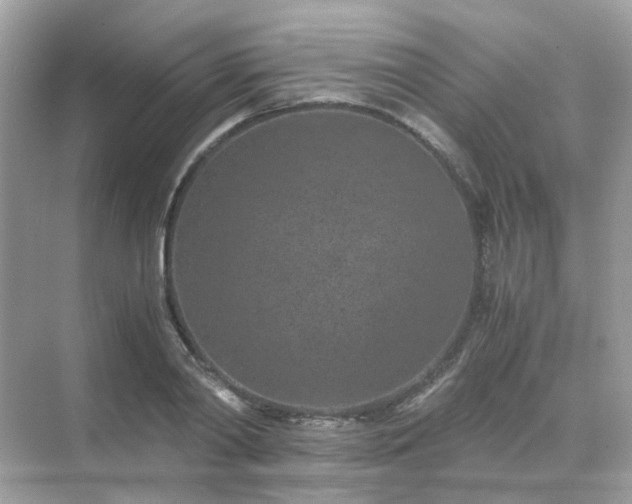 X0000071810790200607072116