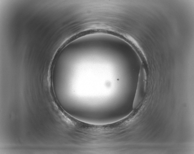 X0000071810791200607072116