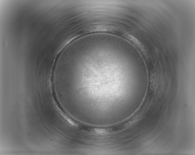 X0000071810794200607072116