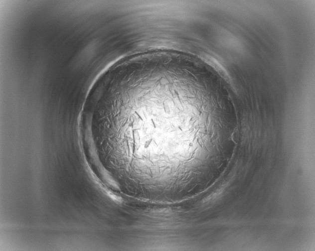 X0000071810798200607072116