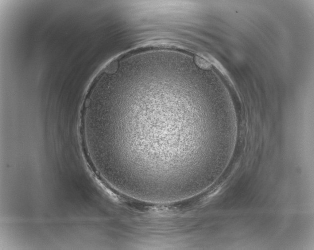 X0000071810799200607072116